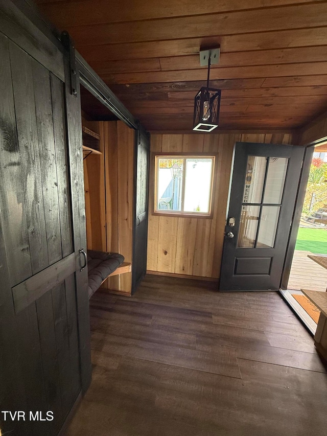 doorway to outside with wood walls, a healthy amount of sunlight, and dark hardwood / wood-style flooring