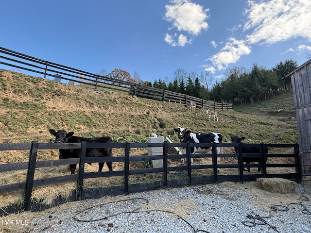 view of yard with a rural view