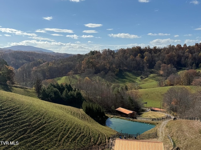 birds eye view of property with a water and mountain view and a rural view