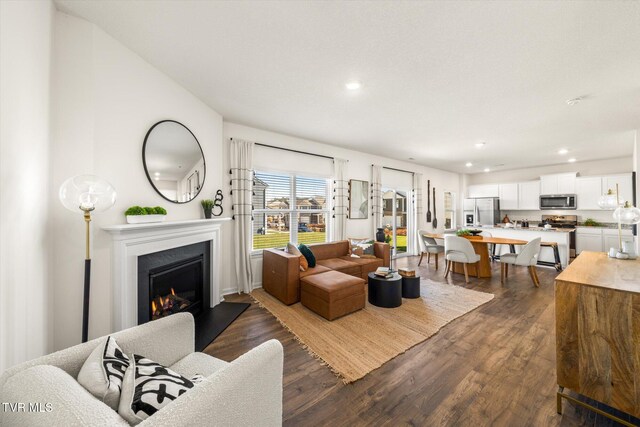 living room featuring dark hardwood / wood-style flooring