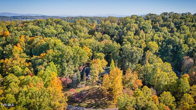 bird's eye view with a mountain view