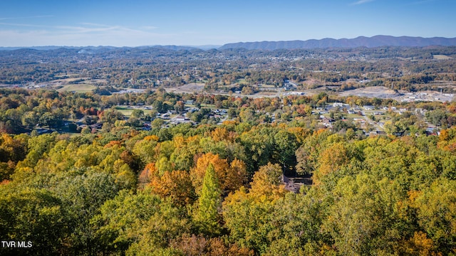 aerial view featuring a mountain view