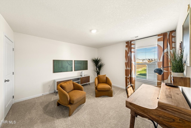 sitting room with carpet floors and a textured ceiling