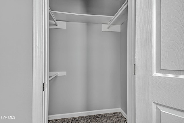 spacious closet featuring carpet flooring