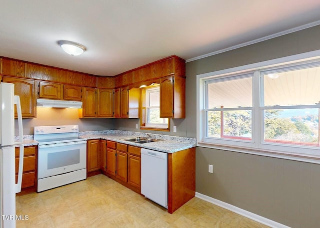 kitchen featuring sink, crown molding, and white appliances