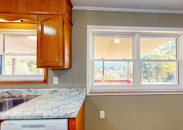 kitchen featuring sink, crown molding, and a wealth of natural light