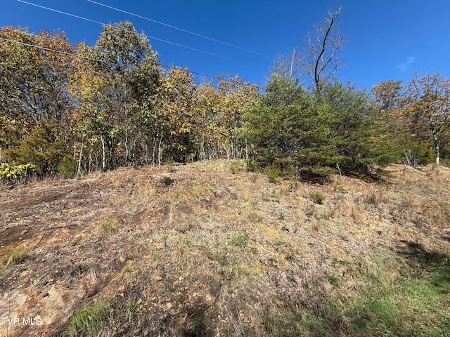 Listing photo 2 for TBD Chimney Rock Rd, New Tazewell TN 37825