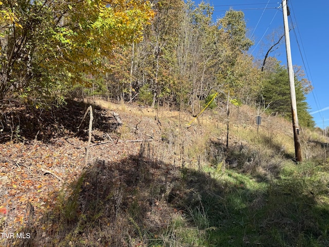 Listing photo 3 for TBD Chimney Rock Rd, New Tazewell TN 37825