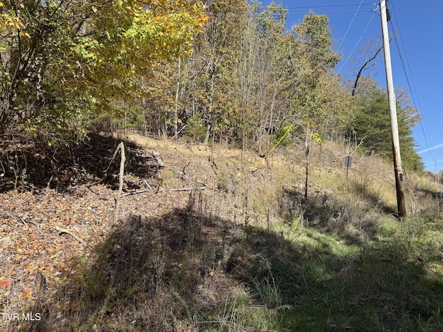 TBD Chimney Rock Rd, New Tazewell, TN 37825