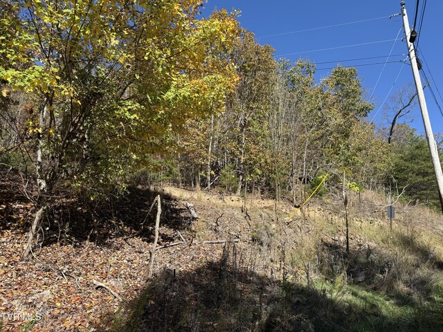 TBD Chimney Rock Rd, New Tazewell, TN 37825