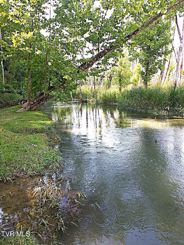939 Muddy Creek Rd, Piney Flats, TN 37686 - water view