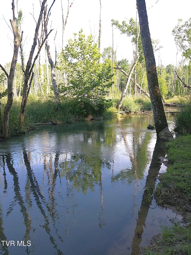 939 Muddy Creek Rd, Piney Flats, TN 37686 - water view