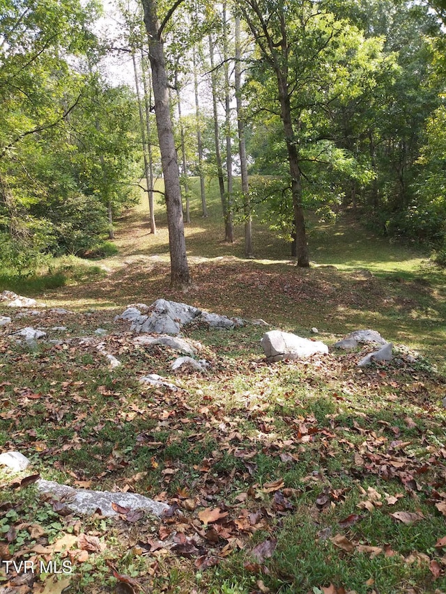 939 Muddy Creek Rd, Piney Flats, TN 37686 - view of wooded area
