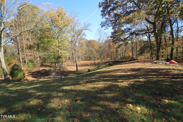939 Muddy Creek Rd, Piney Flats, TN 37686 - view of grassy yard featuring a view of trees