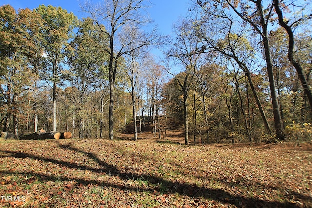 939 Muddy Creek Rd, Piney Flats, TN 37686 - view of yard with a wooded view