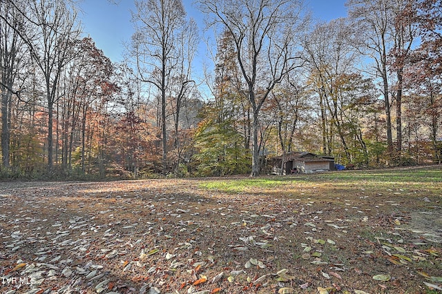 view of yard with an outdoor structure