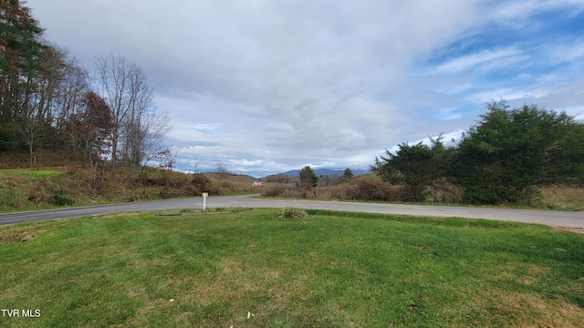 view of yard with a mountain view