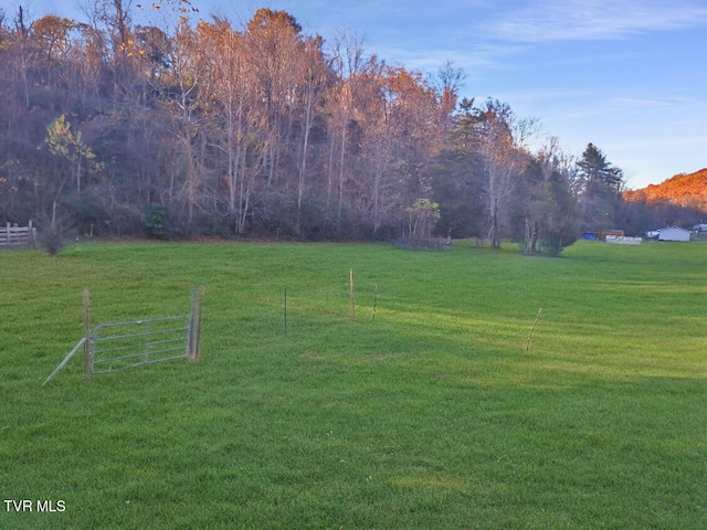 view of yard featuring a rural view