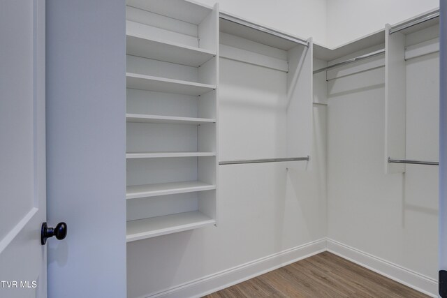 spacious closet with hardwood / wood-style flooring