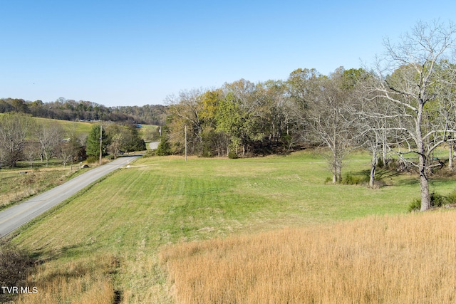 view of yard with a rural view