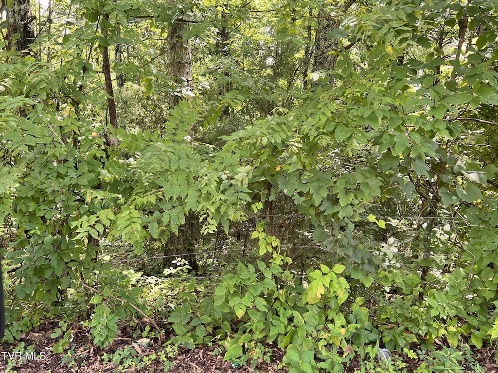 0 Madeline Ln, Rogersville, TN 37857 - photo 1