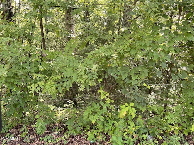 0 Madeline Ln, Rogersville, TN 37857
