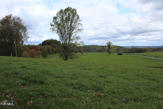 view of yard with a mountain view and a rural view