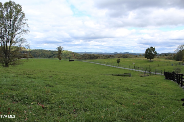 view of yard with a mountain view and a rural view