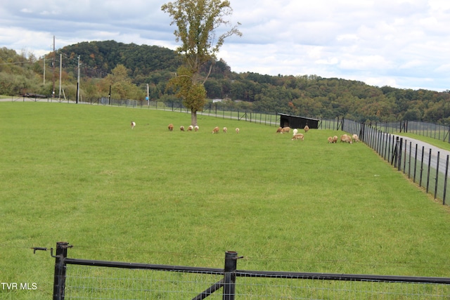 view of yard with a rural view