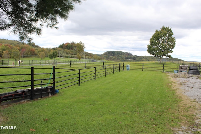 view of yard with a rural view