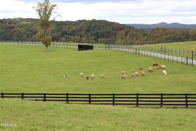 view of yard with a rural view and a mountain view