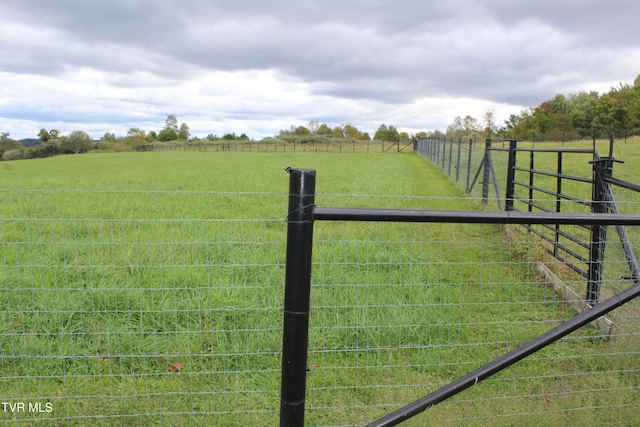 view of yard featuring a rural view