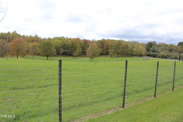 view of yard featuring a rural view