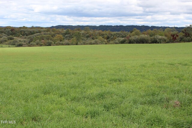 view of local wilderness with a rural view