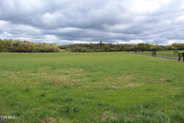 view of yard featuring a rural view