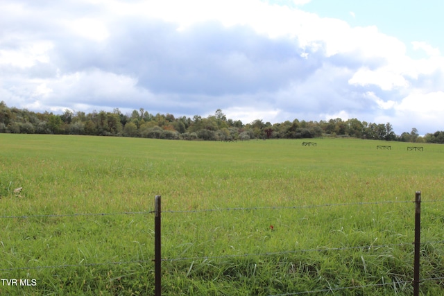 view of yard featuring a rural view