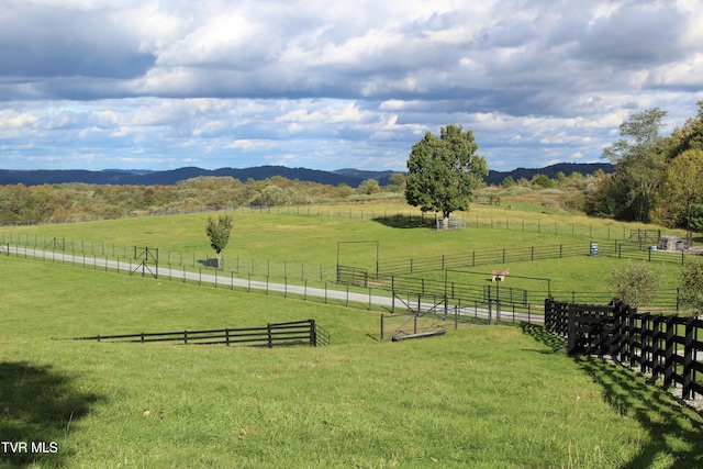 view of yard featuring a mountain view and a rural view