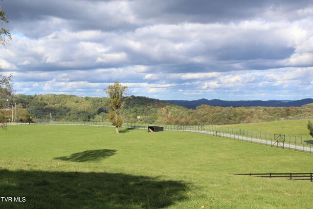 view of yard featuring a mountain view and a rural view