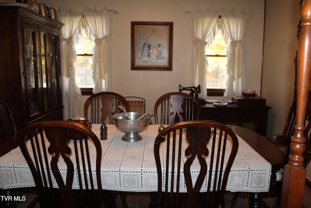 dining area with a wealth of natural light