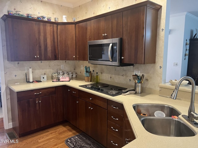 kitchen featuring cooktop, light hardwood / wood-style flooring, sink, and crown molding