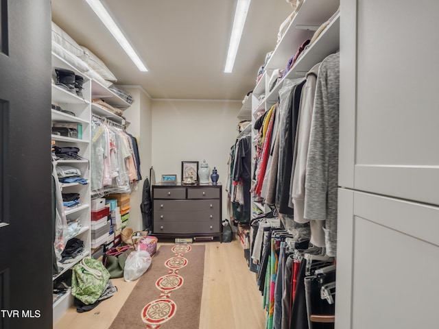 175 Deer Ridge Ct, Butler, TN 37640 - walk in closet with wood finished floors