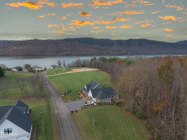 175 Deer Ridge Ct, Butler, TN 37640 - aerial view at dusk of a water view and a view of trees