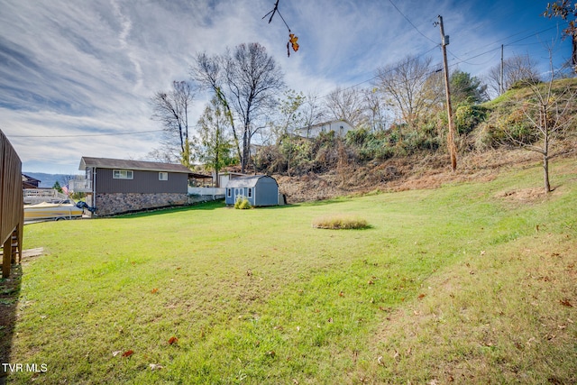 view of yard featuring a storage unit