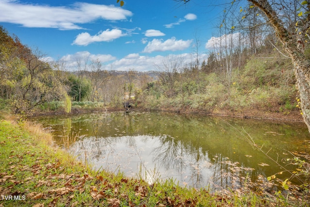 property view of water featuring a forest view