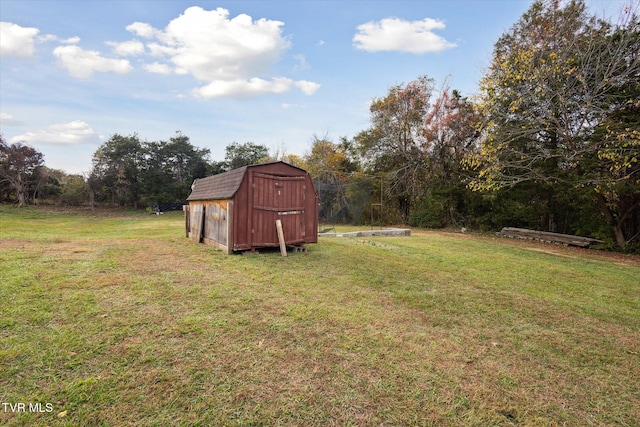 view of yard featuring a shed