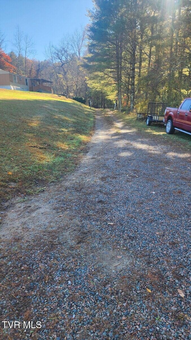 295 Larrys Ln, Mountain City, TN 37683 - photo 4
