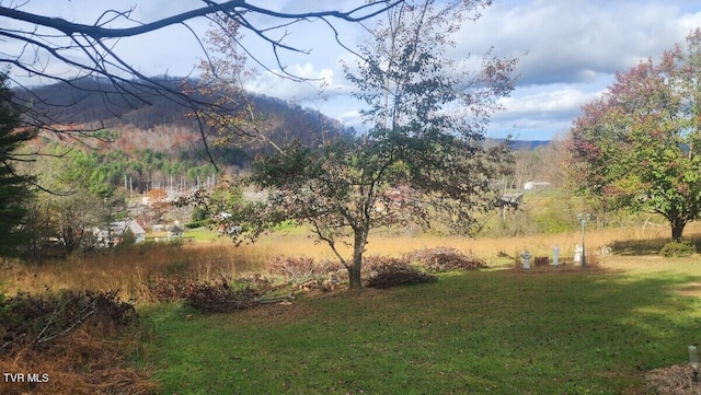 295 Larrys Ln, Mountain City, TN 37683 - photo 18