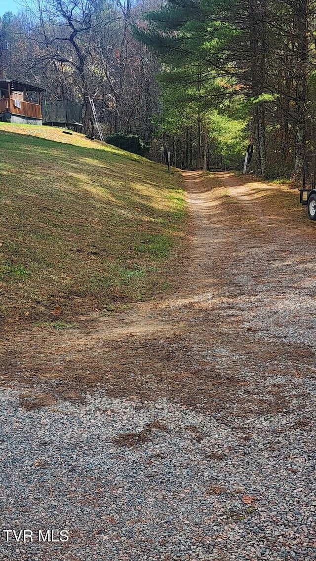 295 Larrys Ln, Mountain City, TN 37683 - photo 19