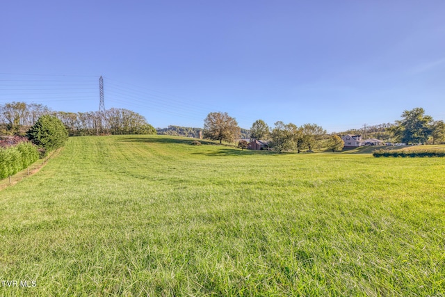 view of yard featuring a rural view