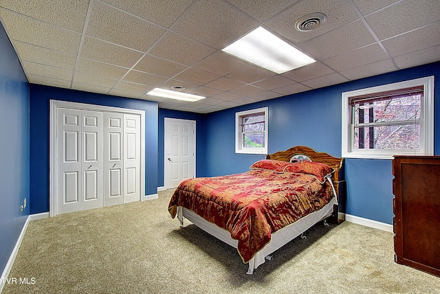 bedroom featuring a paneled ceiling, multiple windows, and carpet